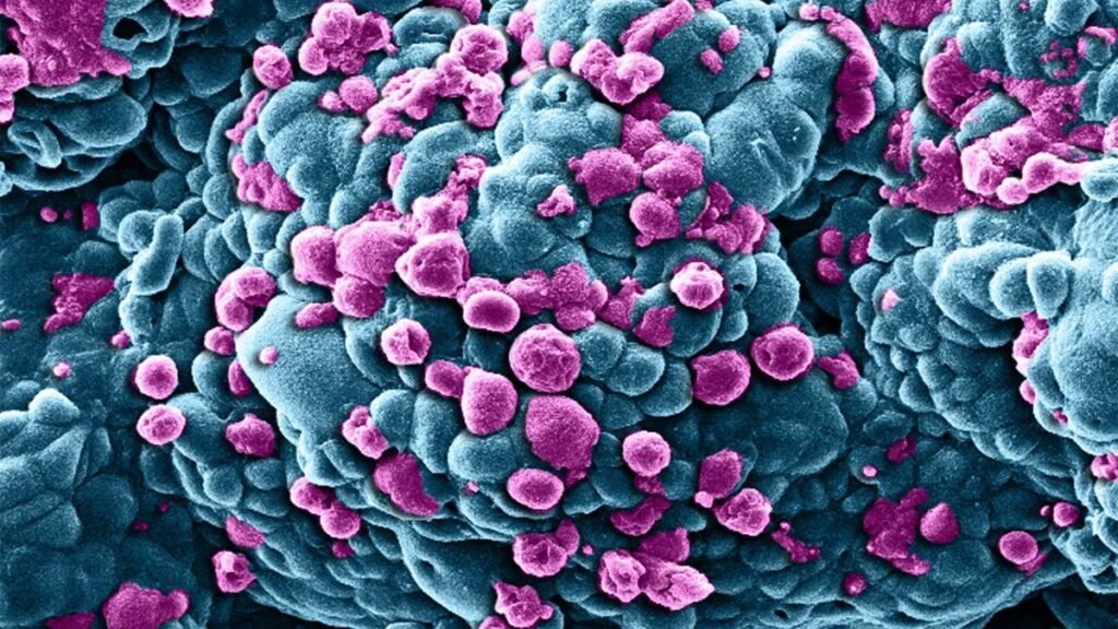 The Founding Idea of the Japan Nanomedicine Society