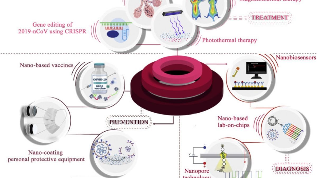 Nanomedicine in COVID-19 Research: Lessons Learned