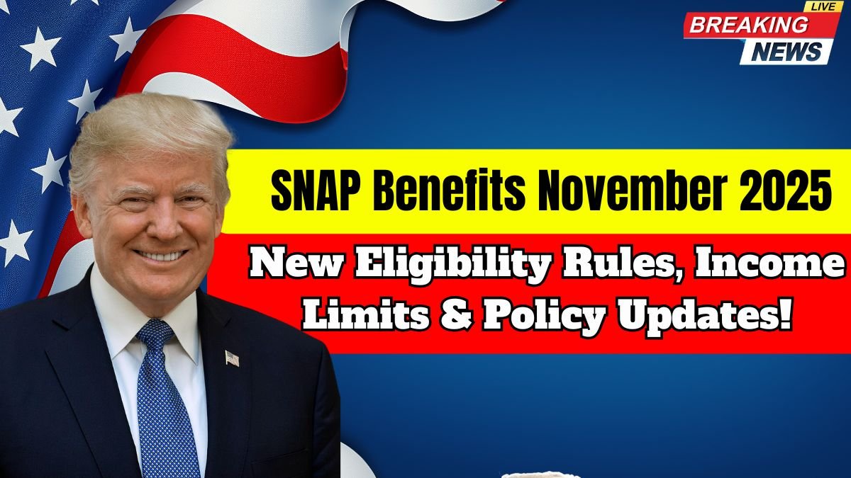 SNAP Benefits November 2025 – New Eligibility Rules, Income Limits & Policy Updates!